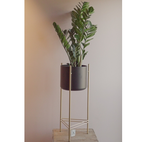 Plantenpot met gouden frame
