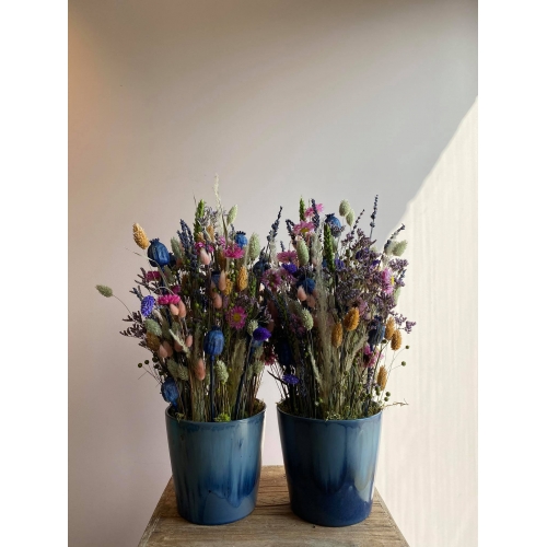 pot + droogbloemen blauw