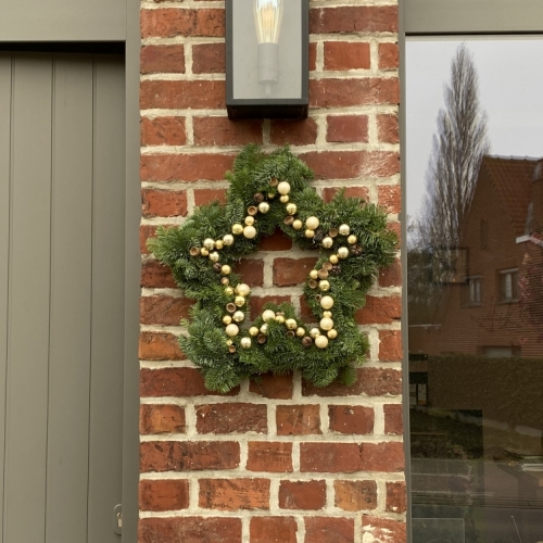kerstkrans -ster- goud