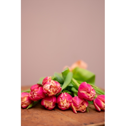 Tulpen